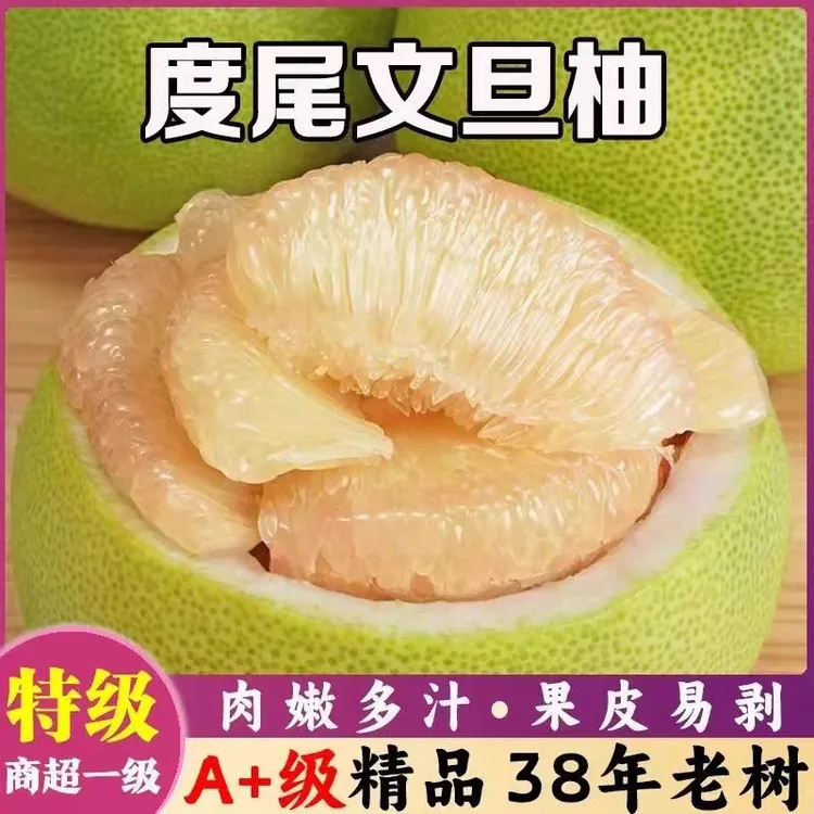 度尾文旦柚正宗福建莆田仙游红心蜜柚新鲜当季礼盒孕妇水果