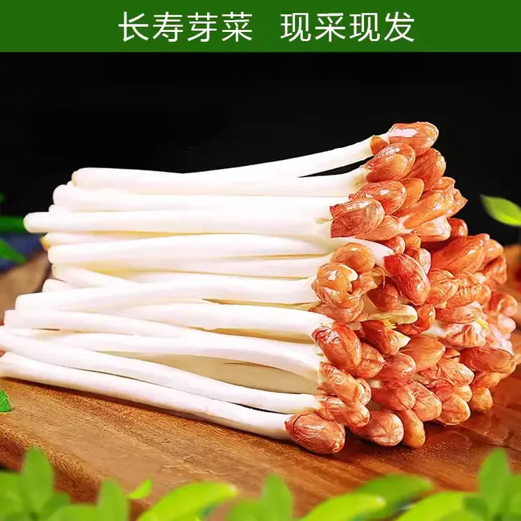 新鲜现摘花生芽农家花生苗长寿芽脆嫩营养蔬菜火锅炒菜沙拉食材