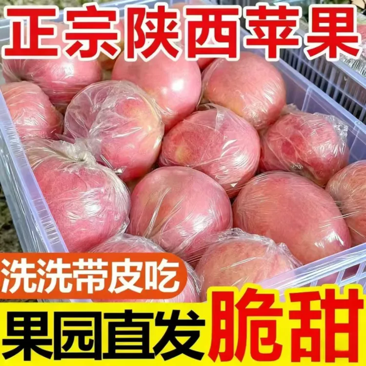 【坏果包赔】正宗陕西高山红富士苹果新鲜采摘脆甜多汁当季美味水果