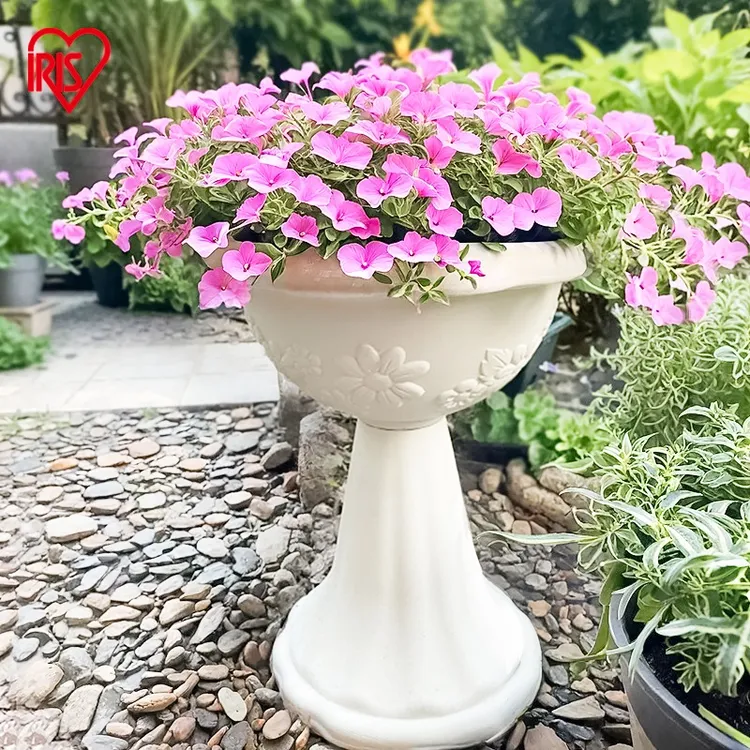 爱丽思杯型花盆浮雕半球创意花盆环保塑料阳台种花绿萝多肉爱丽丝