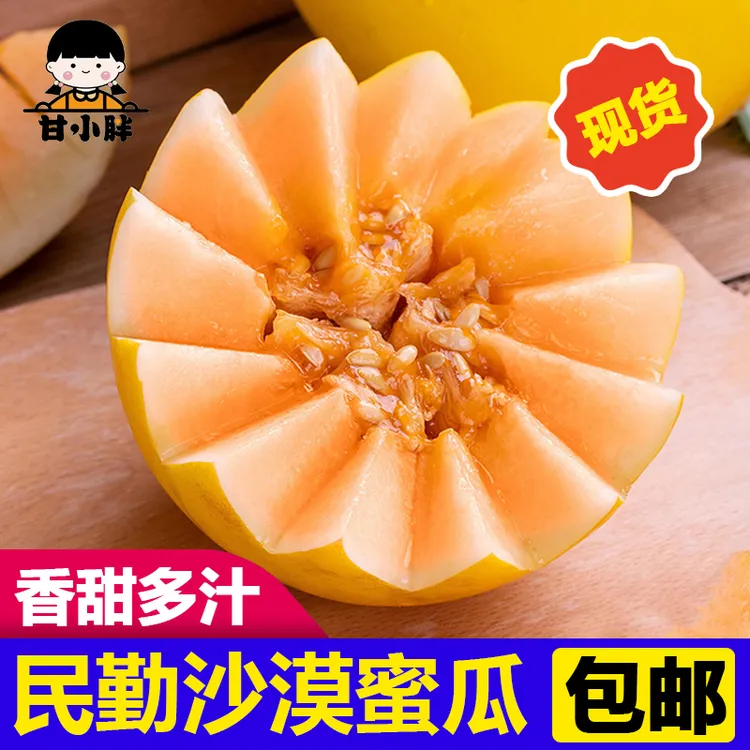 甘小胖甘肃民勤金红宝沙漠蜜瓜水果坏果包赔5/9斤
