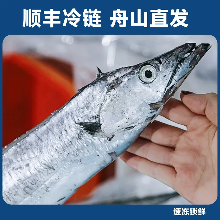 舟山新鲜雷达网带鱼小眼睛带鱼无冰衣整条顺丰3.5斤5条
