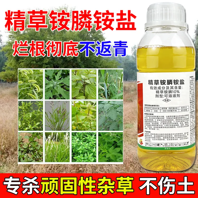 恶性杂草非耕地专用全新升级果园茶园田埂荒地专用精草铵膦铵盐