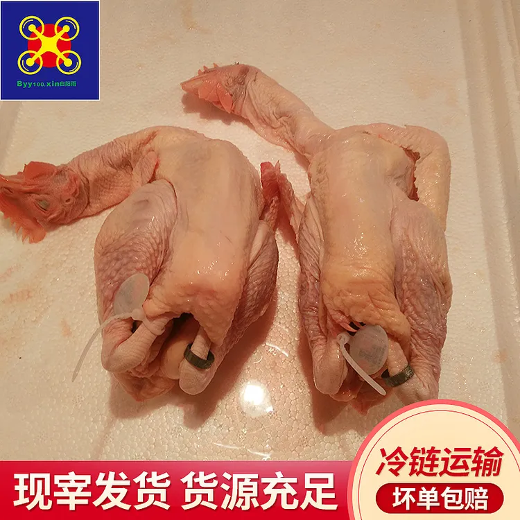 白阳雨散养130天清远鸡9只装冷冻整鸡冻鸡食品半成品餐饮食材批发
