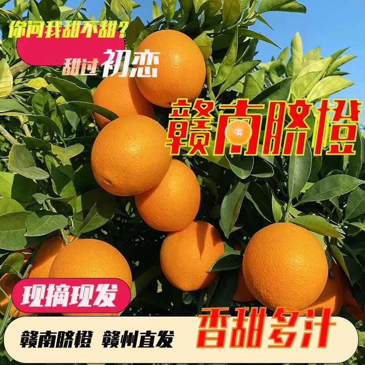 【顺丰包邮10斤装】江西正宗赣南脐橙新鲜橙子果园现摘直供水果