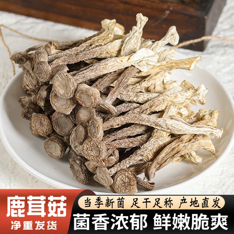 高山新鲜鹿茸菇食用菌农产品山货干货土特产菌菇煲汤食材鲜嫩脆爽