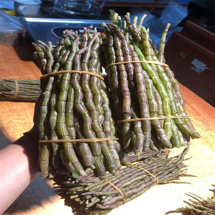 云南鲜条 石斛鲜条 石斛花 250克/500克/1000克/2000克