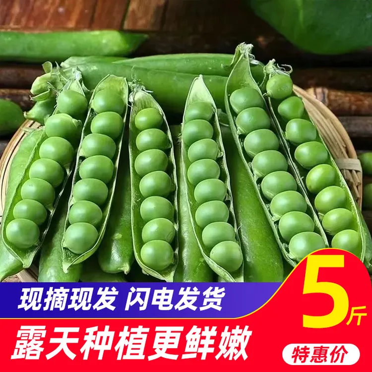 云南新鲜青碗豆农家青豆荚甜脆生碗豆水果碗豆带壳现摘现发青豆子