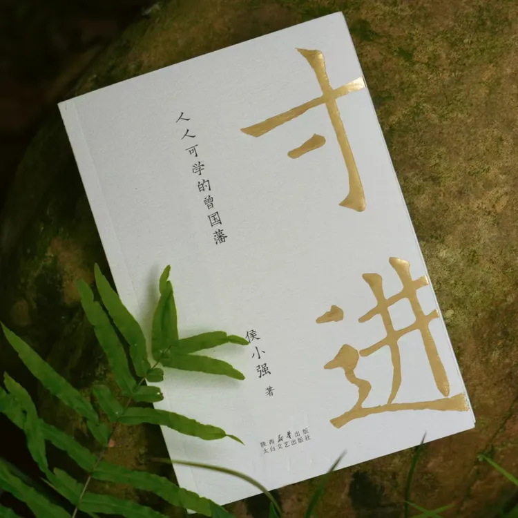 侯小强《寸进：人人可学的曾国藩》曾国藩的寸进智慧启发破局之道