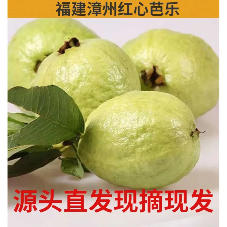 【红白芭乐双拼】当季现摘芭乐新鲜水果番石榴送酸梅粉5斤