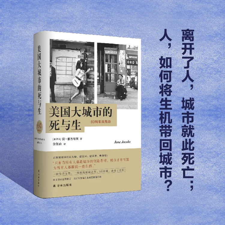 美国大城市的死与生 诠释摆地摊的经济社会文化逻辑精装平装可选