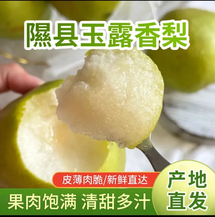 正宗隰县玉露香梨4-4.5斤尝鲜价 少量库存
