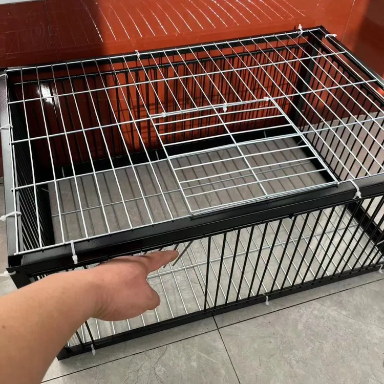 鸽子笼家畜笼家禽笼信鸽笼鸟笼家用养殖用品用具