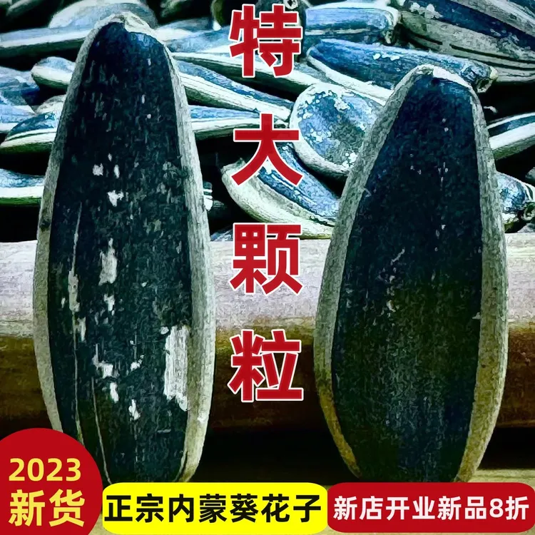 【2023年】甄选内蒙干炒瓜子新瓜子大颗粒香甜原味香脆严选营养鲜香