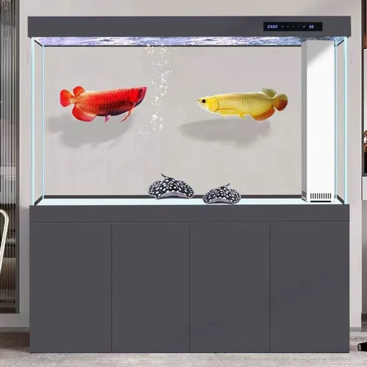 龙鱼缸公司养鱼靠墙超白玻璃生态底滤家用水族箱底部过滤下排水缸