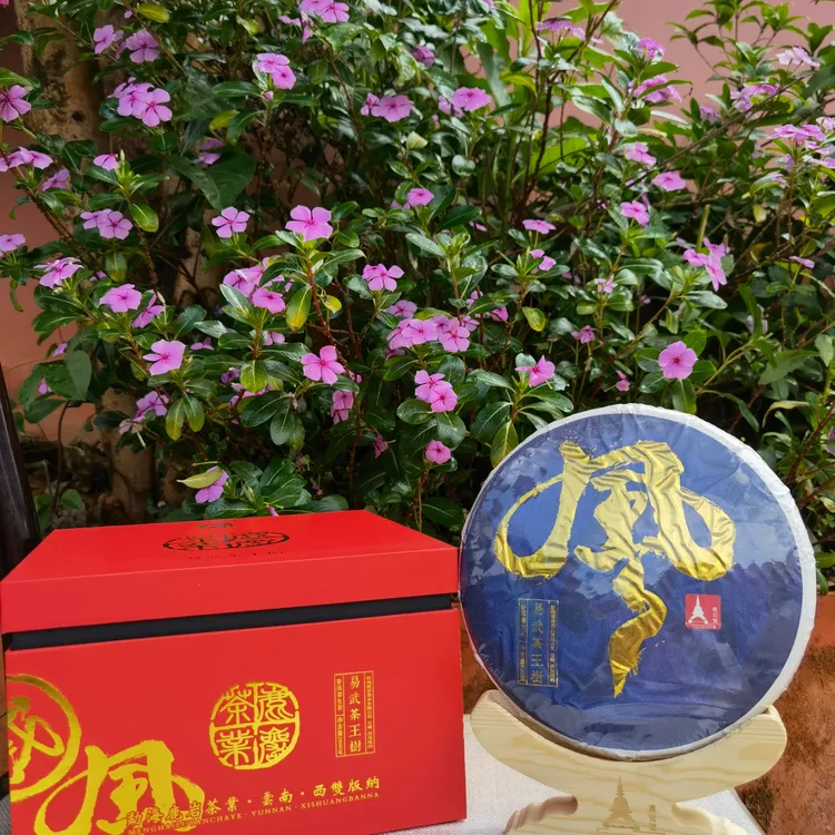 【易武茶王树】国风 2020年 普洱茶 生茶 400g/饼
