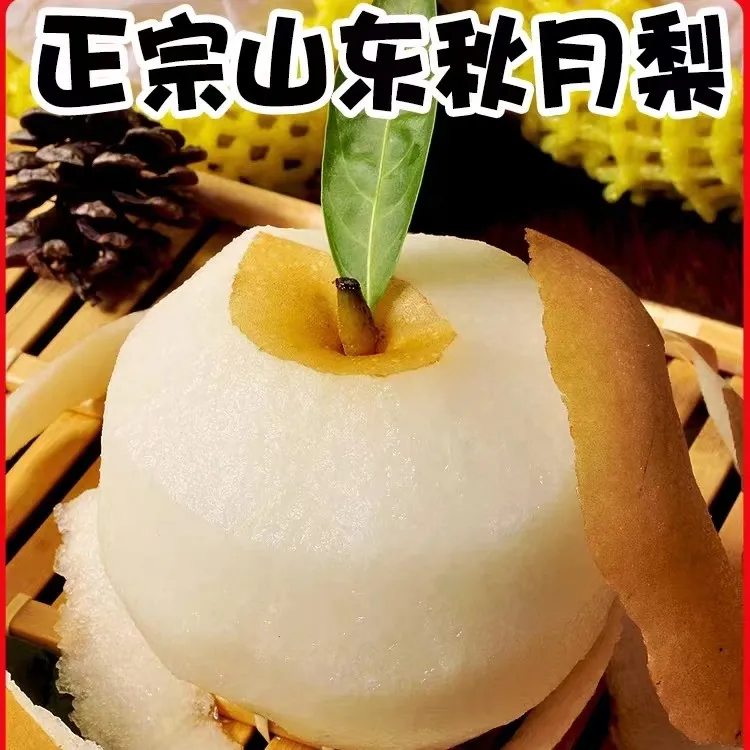山东正宗秋月梨新鲜梨子现摘现发净重4.5斤