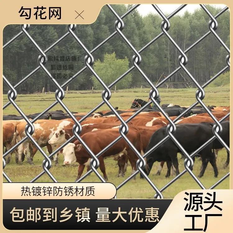 热镀锌铁丝网围栏户外养殖防护网养鸡养狗不生锈勾花网护栏隔离网