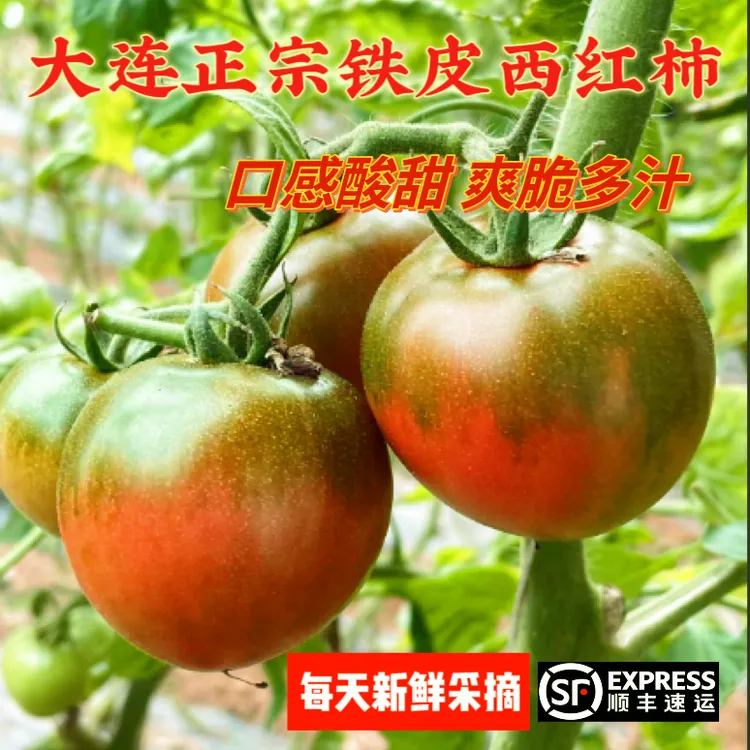 张大爷家的品质大中小果超甜-正宗铁皮西红柿