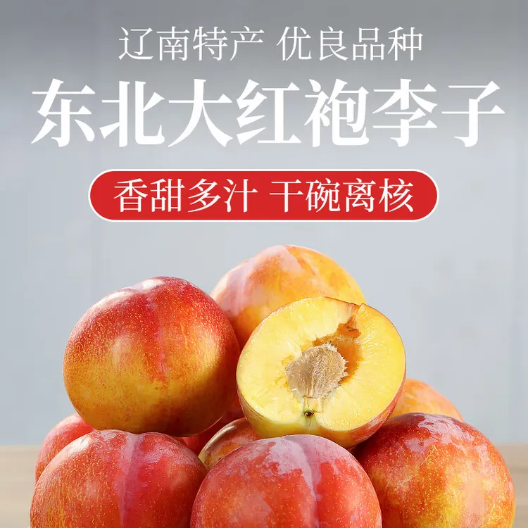 辽南多汁大红袍李子当季鲜果3斤4.5斤装包邮坏果包赔新鲜肉厚