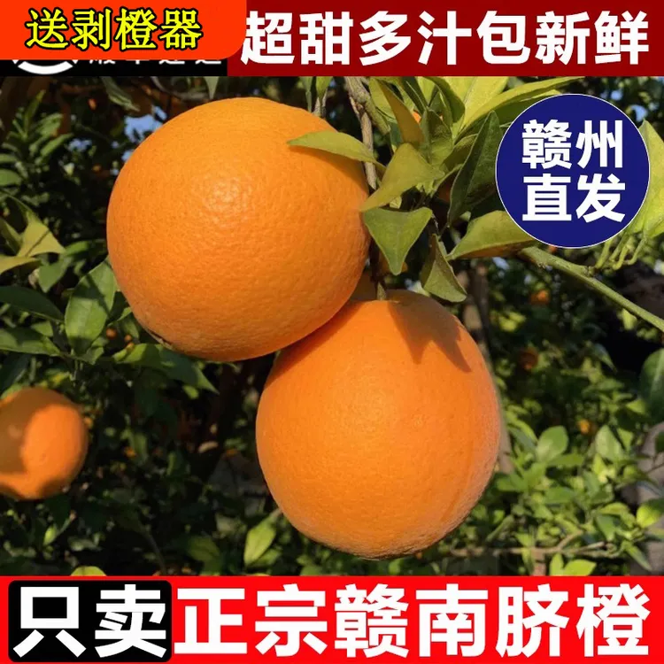 正宗江西赣南脐橙赣南早赣州产地直发新鲜橙子当季孕妇特级大果