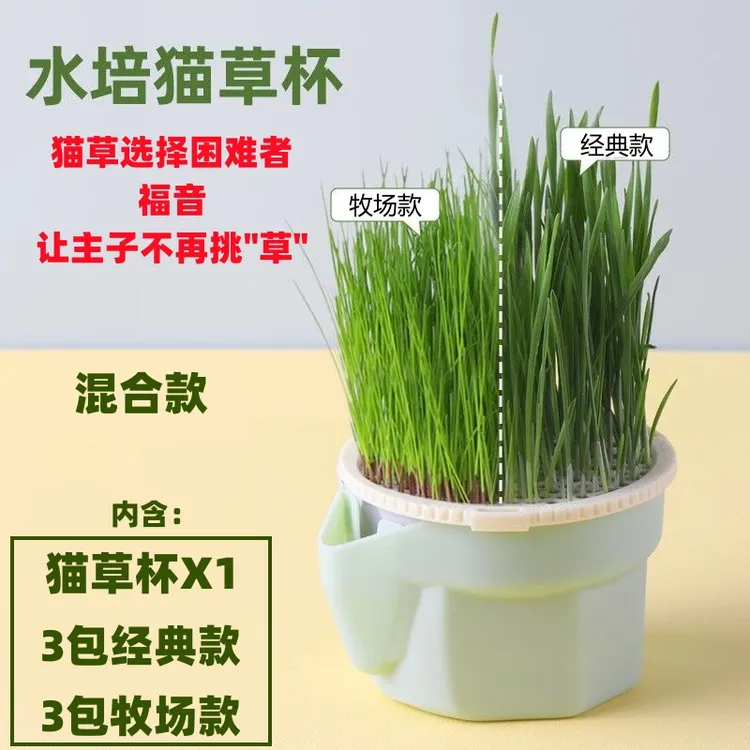 猫草杯盆栽混合装猫草罐头无土水培化毛草猫薄荷自已种好幼猫咪零