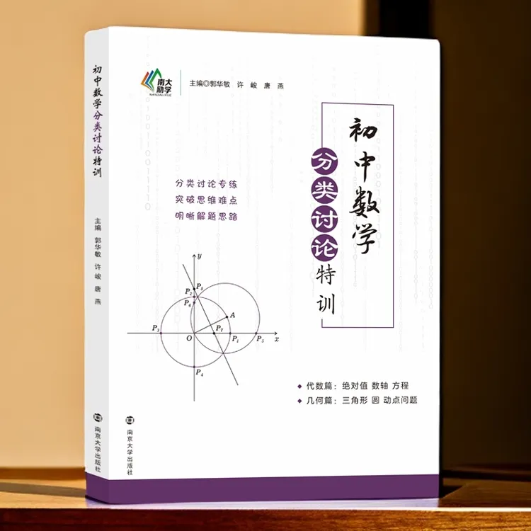 教辅：初中数学分类讨论特训
