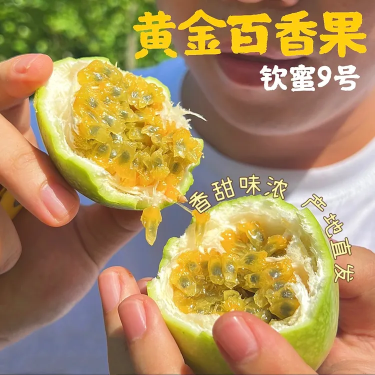 【蜜甜浓香】广西钦蜜9号黄金百香果味浓多汁新鲜采摘顺丰