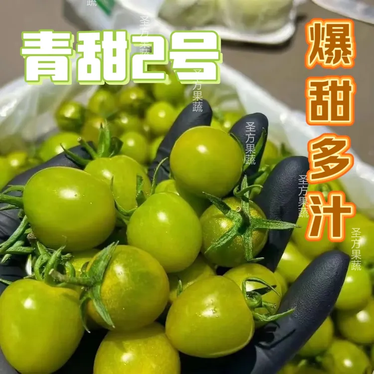 【顺丰】高甜度梦想青甜二号寿光直发绿色圣女果青口蜜小番茄绿色