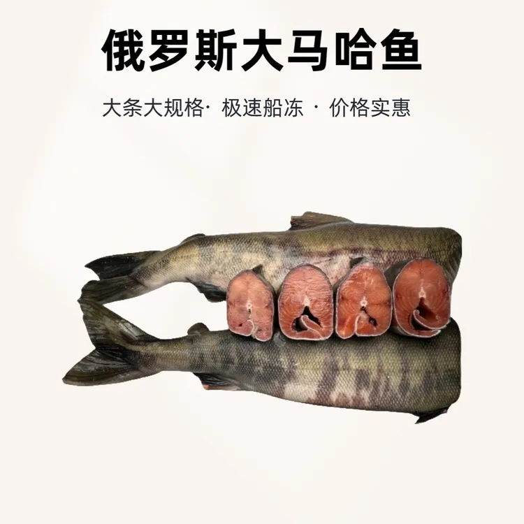 大马哈鱼  俄罗斯进口去头去内脏大规格单条装/两条装