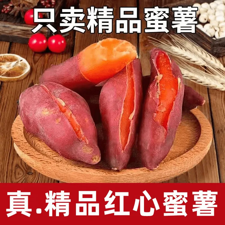 种植沙地蜜薯西瓜红红薯新鲜现挖烤蒸煮入口美味软糯香甜产地直供