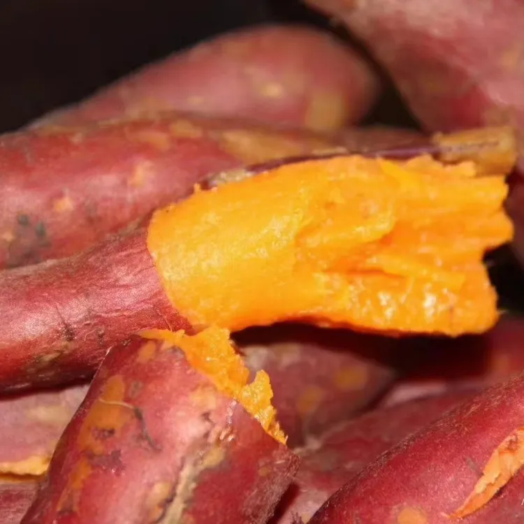 小鼠刨刨小鼠刨刨烟薯5斤装