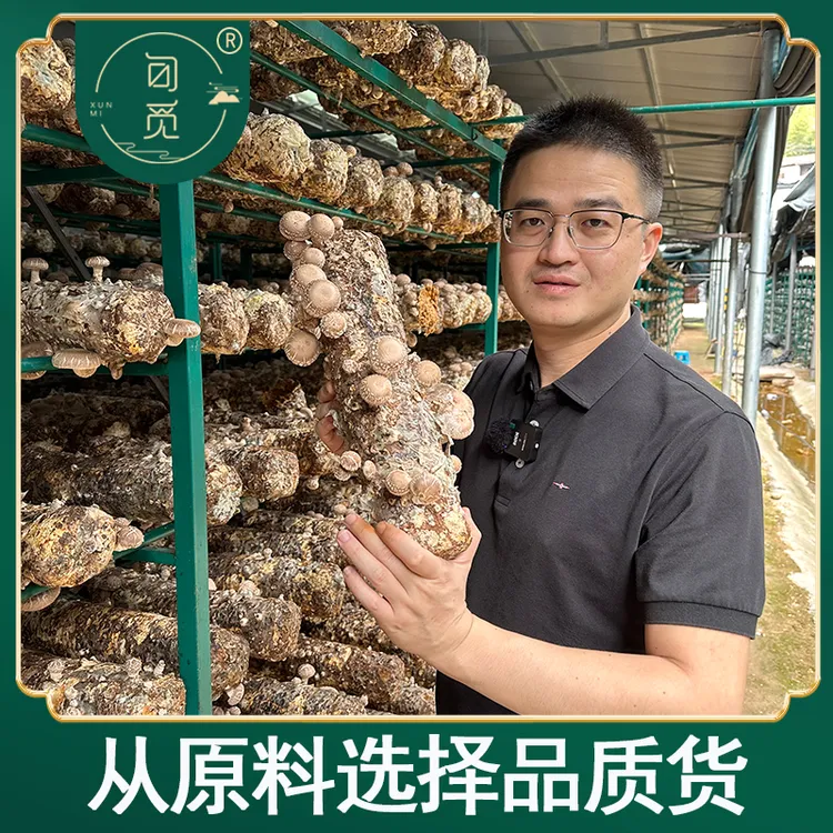 旬觅古田高山香菇菌菇干货土特产500g鲜香美味优质菌菇干货