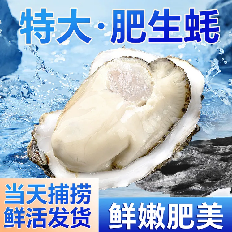 乳山生蚝3-5两/个 5斤尝鲜装 鲜活发货蒜蓉粉丝烧烤顺丰发货