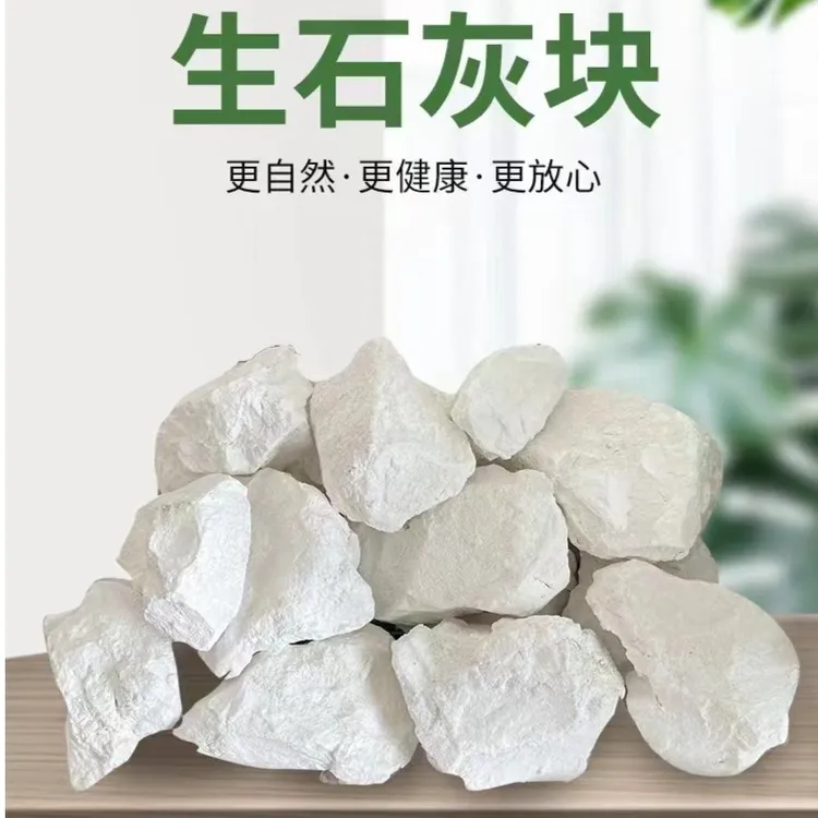 生石灰干燥剂小块家用吸水室内除湿袋防霉防潮刷生石灰防潮干燥剂