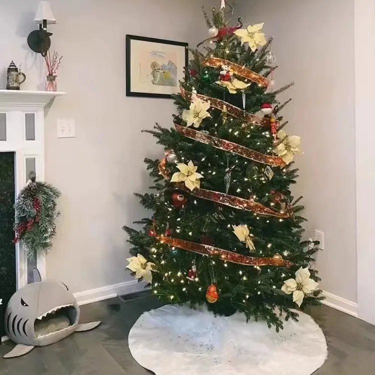 云杉圣诞树真树盆栽活的挪威云杉真正的圣诞树松松树庭院室内种植