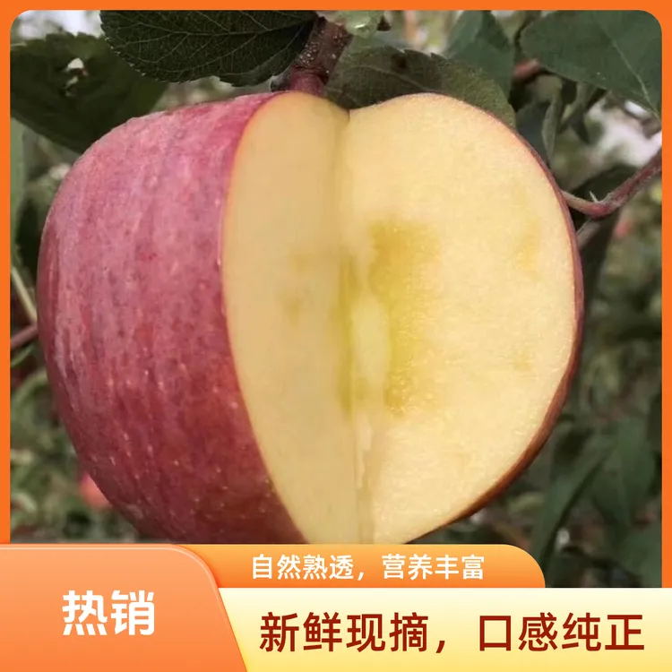2024昭通冰糖心丑苹果水果孕妇宝苹果水果高原苹果包邮