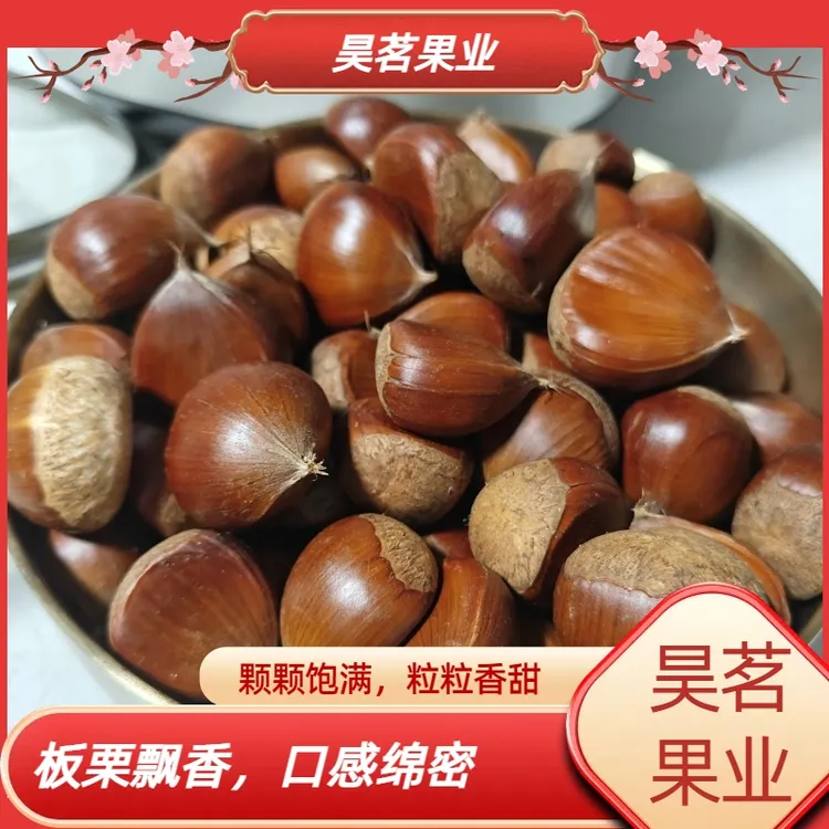 丹东板栗大板栗新鲜采摘粒大饱满软糯香甜产地直供美食营养难剥皮