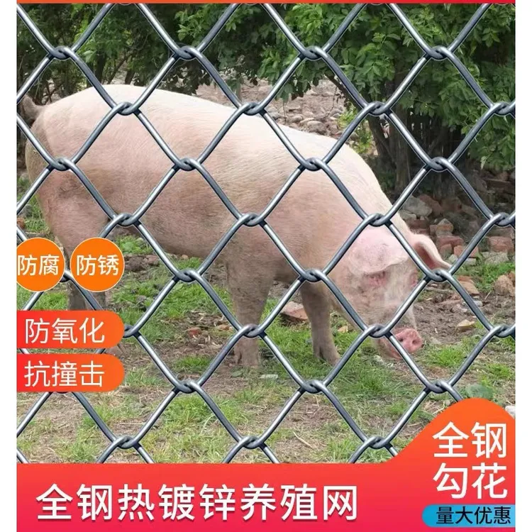 围栏养殖网钢丝勾花热镀锌护栏围栏网栅栏防护网果园围栏菜园鱼塘