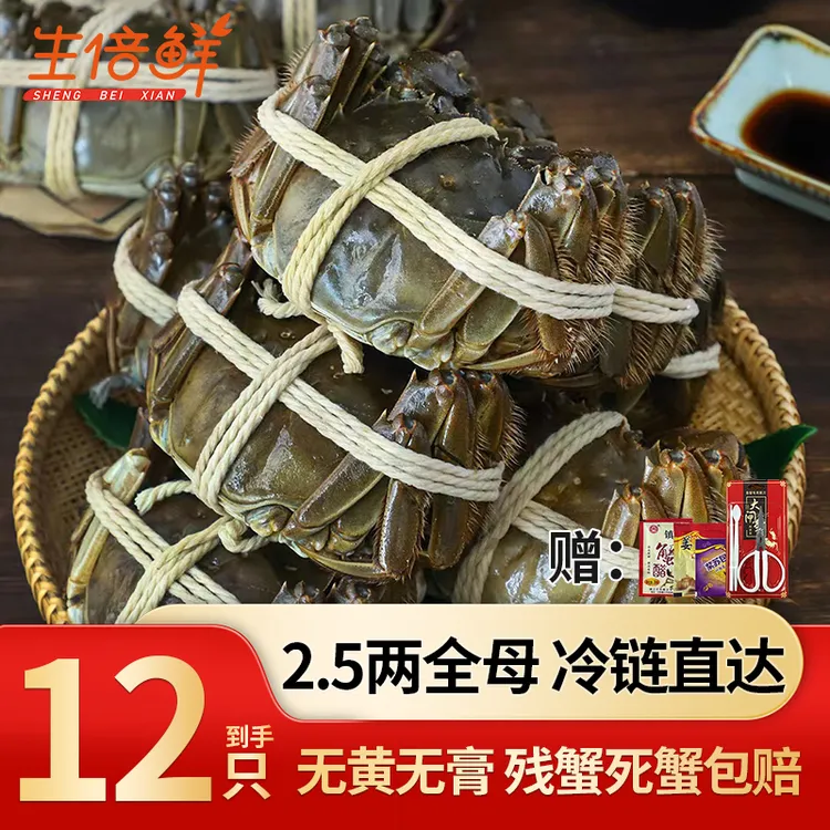 鲜活螃蟹2.5两全母10只赠2只新蟹河蟹尝鲜礼盒送品蟹工具