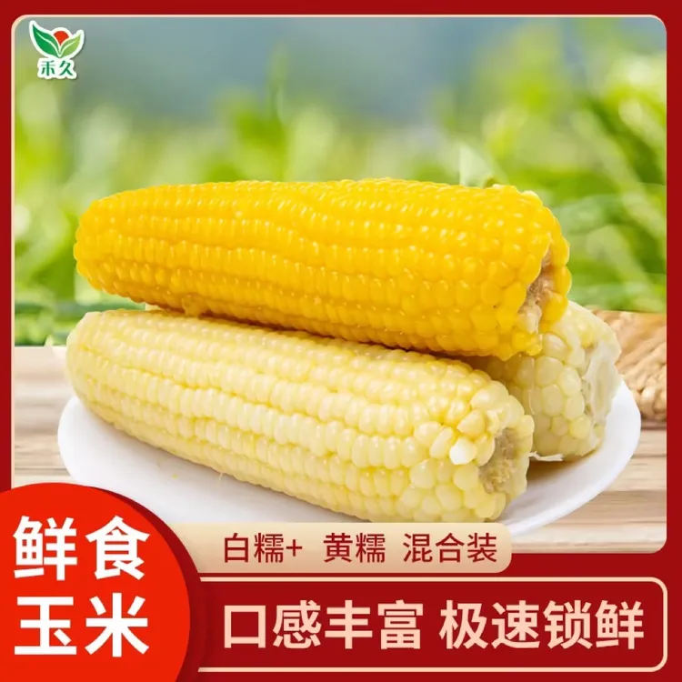 禾久 糯玉米 白糯黄糯混合装  均重260g/根