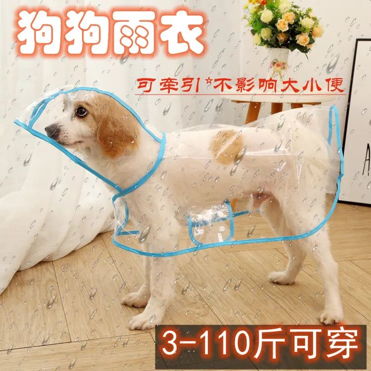 狗狗雨衣小型犬透明防水雨披泰迪比熊柯基柴犬大型犬金毛宠物衣服
