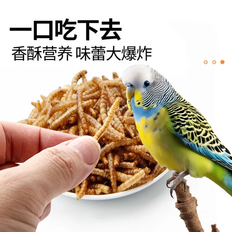 健康面包虫干八哥鹦鹉芦丁鸡仓鼠粮食饲料刺猬黄粉虫龟粮营养桶装