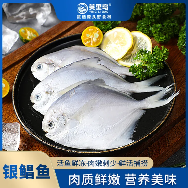 新鲜速冻冷冻肉质鲜嫩美味清蒸银鲳鱼500g/包*5包 
