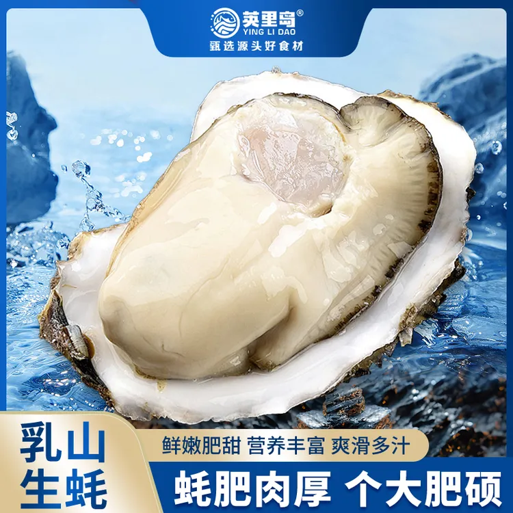 英里岛鲜活乳山生蚝牡蛎4-6两/只  5斤 产地直发