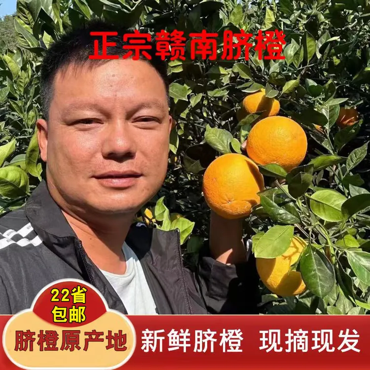 【10斤精品果】江西正宗赣南脐橙精选精品果10斤带箱现摘现发