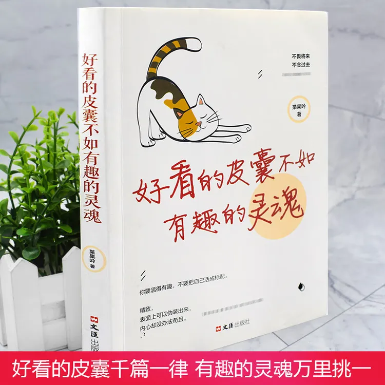 好看的皮囊不如有趣的灵魂 安慰自己 平凡可贵 成功励志书籍