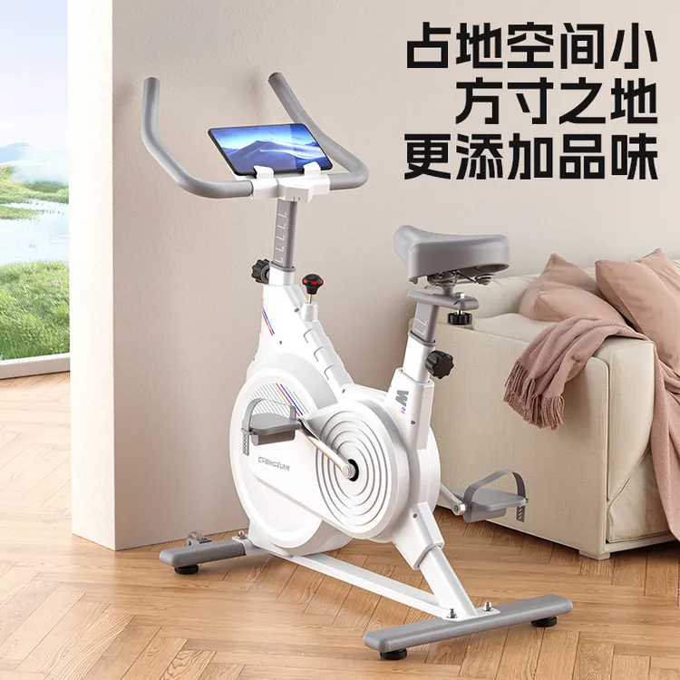 动感单车家用磁控阻力调节健身车自行车运动健身器材【智能调阻】