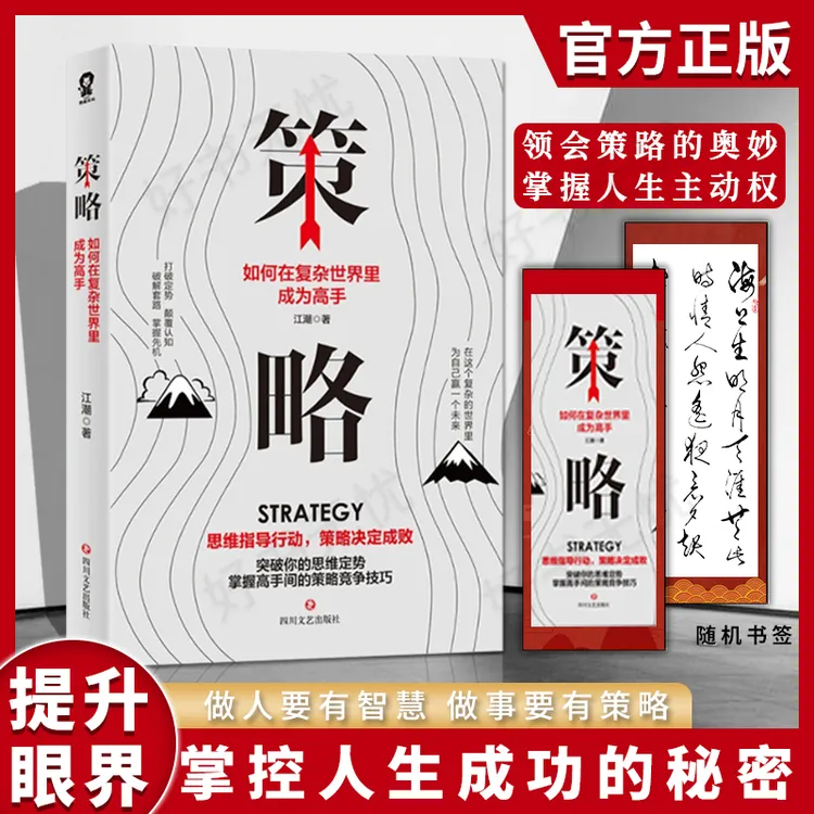 策略 如何在复杂世界里成为高手 突破思维定势策略制定技巧书籍