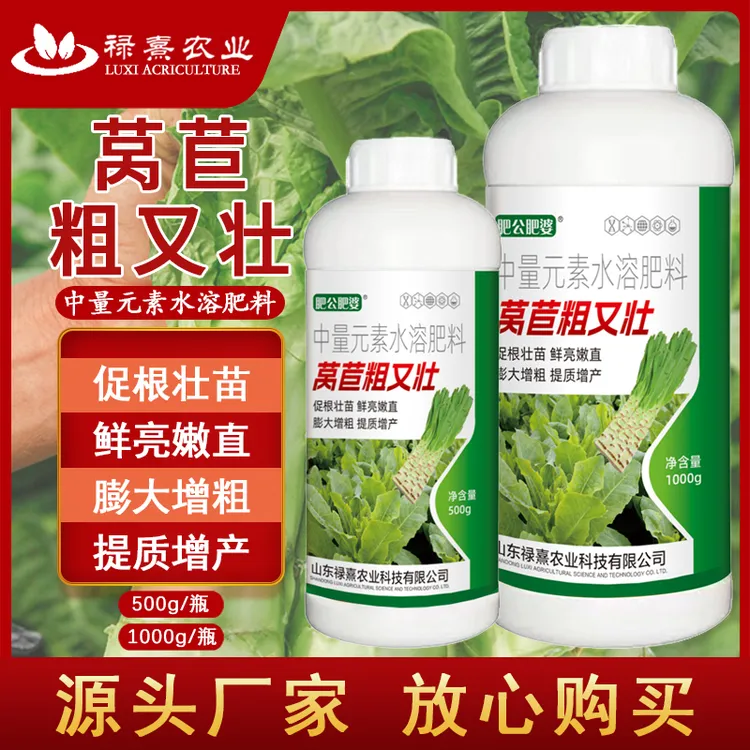 莴苣粗又壮莴苣增粗拉长嫩绿直粗壮鲜亮预防空心裂果专用叶面肥